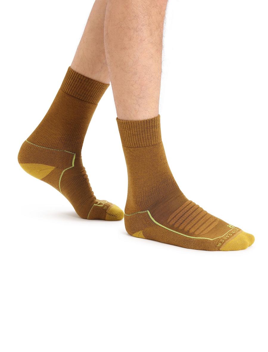 Clove / Silent Gold Men's Icebreaker Merino Hike+ Heavy Crew Socks | USA 1019AHKP